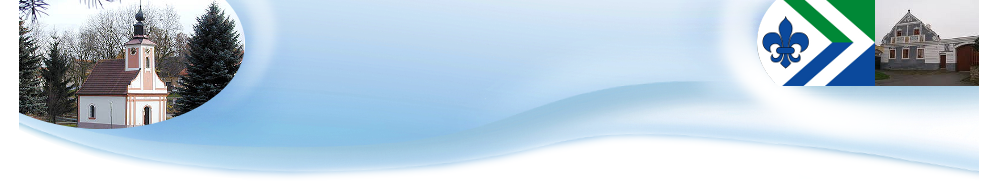 Primary Raster logo